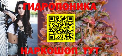 ГАЛЛЮЦИНОГЕННЫЕ ГРИБЫ Малгобек