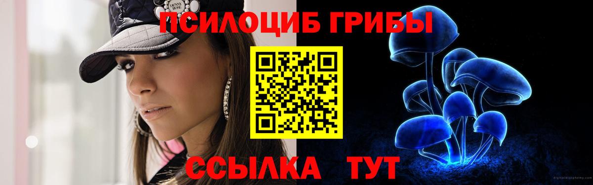 Электросталь  Галлюциногенные грибы Cubensis  Вход с VPN 